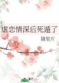 虐恋情深后死遁了 镜里片 讲什么