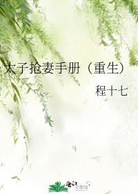 被太子抢婚之后20