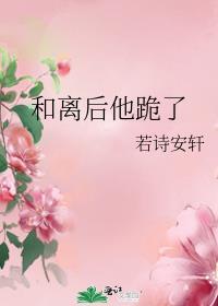 和离后他跪了若诗安轩格格党