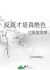 反派才是真绝色by已书