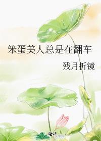 笨蛋美人总是在翻车穿书残月折镜