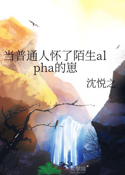 当普通人怀了陌生alpha的崽免费阅读笔趣阁