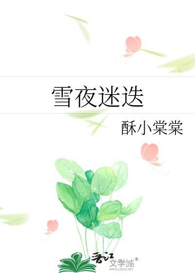 雪夜之谜读后感