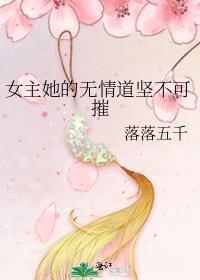 穿进乙女游戏后我成了