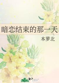 暗恋结束的那一天免费阅读晋江