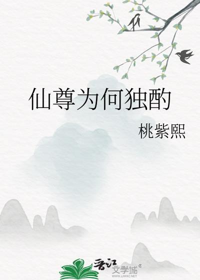 仙尊为何独酌txt百度分享