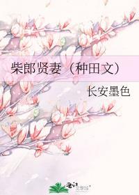 柴郎贤妻长安墨色