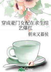 穿成豪门女配文推荐