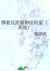 绑着反派做种田玩家(系统) 棠湖鹿