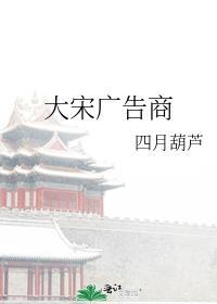 大宋控股集团有限公司