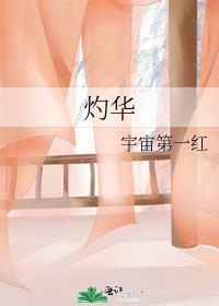 灼华记