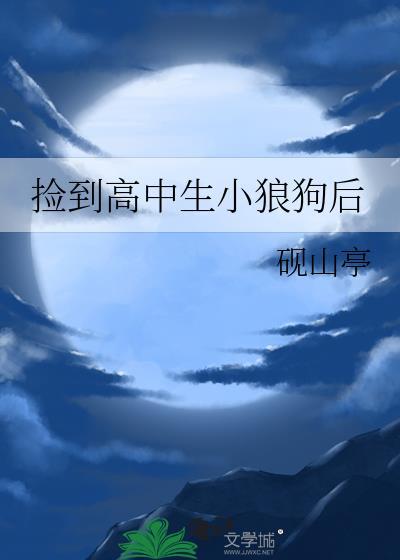 捡到的高中生完整版