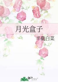月光盒子 半截白菜讲的什么