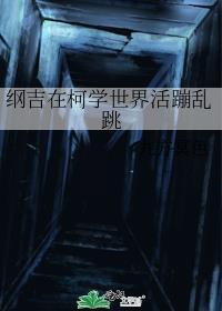 纲吉在柯学世界活蹦乱跳阅读