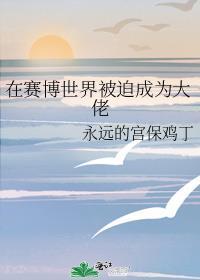 在赛博世界被迫成为大佬 永远的宫保鸡丁
