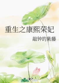 重生之康熙荣妃清穿