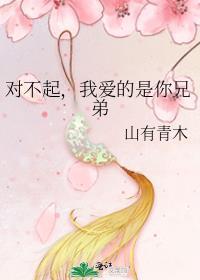 我爱的是你兄弟英语