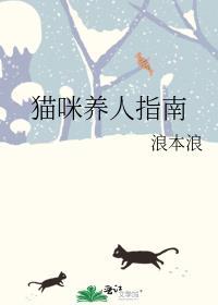 猫咪养育全攻略