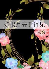 如果月亮有眼睛什么歌