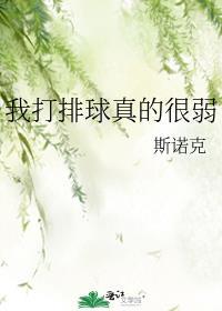 我打排球真的很弱免费