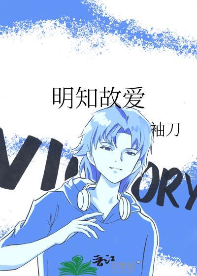 明知故爱莎头文