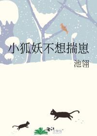 小狐妖不想揣崽txt百度