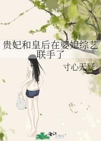 贵妃和皇上