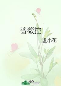 蔷薇控虚小花完整全文免费阅读