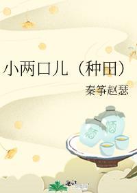 小两口儿txt宝书网