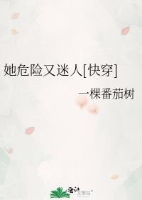 裙钗之下石阿措