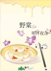 野棠明开夜合免费阅读讲的什么