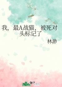 我最a战猫被死对头标记了TXT