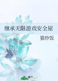 继承无限游戏安全屋txt