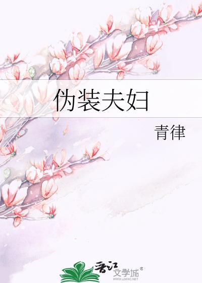 伪装夫妇分集剧情