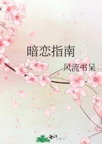 暗恋手册