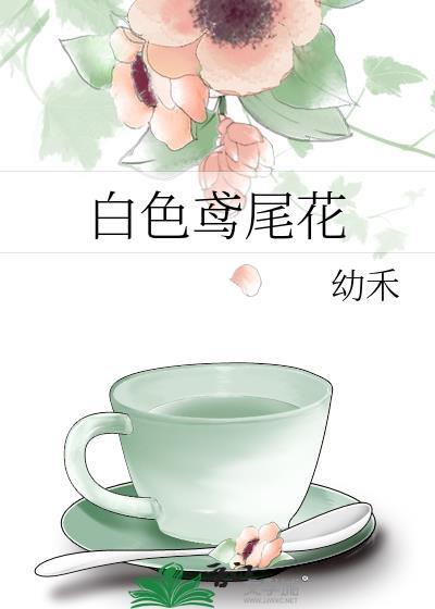 白色鸢尾花图片
