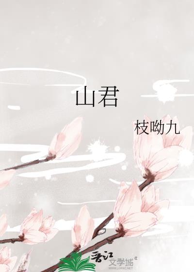 固伦纯禧公主讲了什么