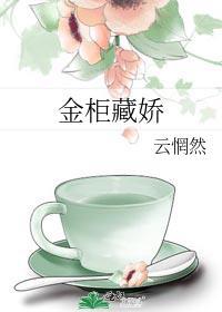 金柜藏珠格