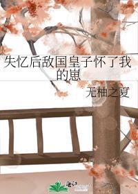 失忆后敌国皇子怀了我的崽免费阅读