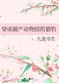 穿成动物园里的猎豹