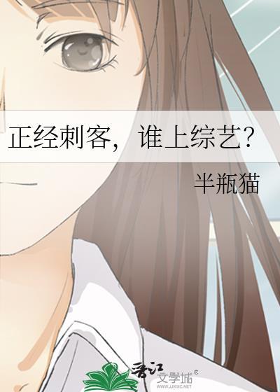 我是正经刺客