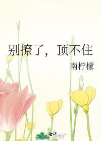 别撩了顶不住免费阅读笔趣阁