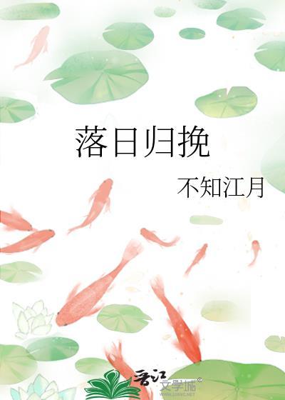 落日归山河
