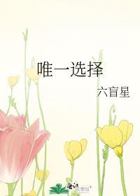 唯一选择by六盲星txt