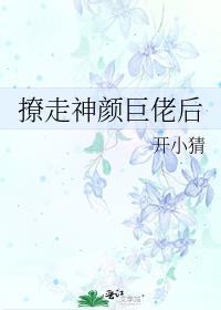 撩走神颜巨佬后gl免费阅读