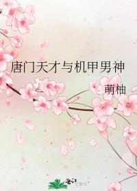 唐门英雄与机甲男神