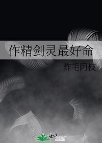 剑灵精气怎么用