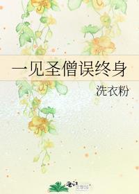 一见圣僧误终身25章免费阅读