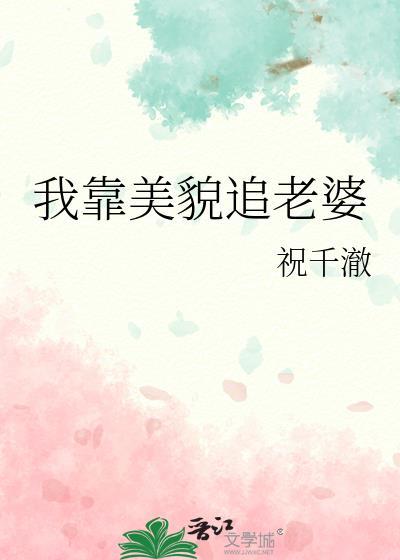 我靠美貌追老婆txt完整 番外 txt百度
