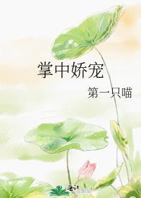 掌中娇宠 霍渊